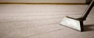 all natural carpet cleaning company