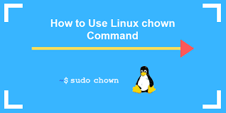 chown command in linux how to change