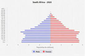 south africa age structure demographics