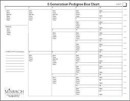 Printable Family Tree Chart 4 Generations Ancestor Template