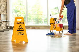 Professional Cleaning Services In