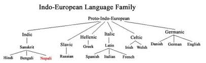 Language Families Chart Chart Language Education