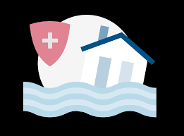 24 to avoid potentially higher rates later • flood insurance purchasing assistance available to residents the federal emergency management administration (fema) updated the flood insurance rate map (firm) for the coastal areas of pinellas. Flood Insurance Fema Gov