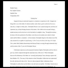 Reflection paper in classic english literature: Sample Literary Analysis Essay By Bespoke Ela Teachers Pay Teachers