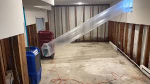 Removing Basement Mold From A Linden Home