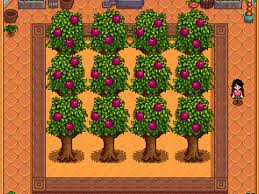 Pomegranate Trees In Stardew Valley
