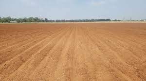 groundnut soil requirement soil