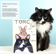 Spend some time with these three little friends and their great play activities. Torc Book Series Torc The Cat