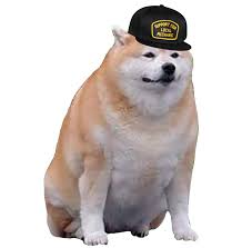 Our database contains over 16 million of free png images. Doge Local Mechanic Sticker Blank Template Imgflip
