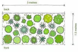 Rosy S Planting Plans