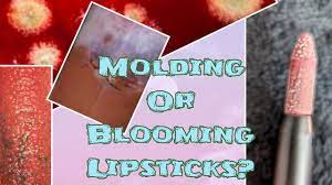 mold or blooming lipstick