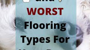flooring types for dogs