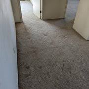lansing michigan carpet cleaning