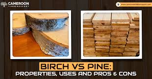 birch vs pine unveiling properties