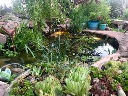 Water Gardens In Santa Fe Mcber
