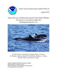 hawaiian insular false whales