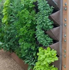 20 Best Vertical Garden Ideas For Your