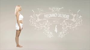 4 Weeks Pregnant Pregnancy Calendar Week By Week Youtube