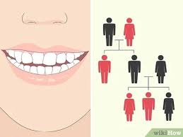 There should be no self promotion links or shop website links. How To Fix An Uneven Smile And Look Your Best