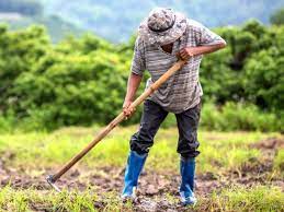 Tras el pedido de CAME, el presidente anunció la compatibilidad de planes sociales con trabajo rural registrado – Info Cámaras