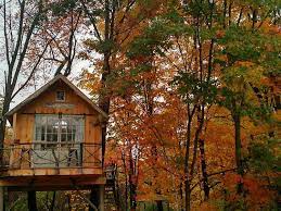11 best treehouse airbnbs near nyc for