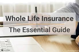 Whole Life Insurance The Essential Guide