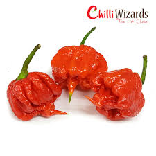 Details About Carolina Reaper Chilli Pepper Seeds X 10 Super Hot 100 Genuine