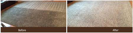 mission mountains carpet cleaning joe