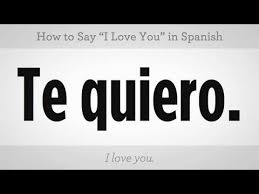 In spanish you would say i have ?? How To Say I Love You Spanish Lessons Beginner Spanish Lessons I Love You Spanish Spanish Lessons