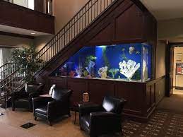 https://www.quora.com/In-modern-day-architecture-can-we-make-a-luxury-home-with-a-complete-real-fish-aquarium-floor-or-transparent-fish-aquarium-floor-visible-in-the-main-drawing-room gambar png