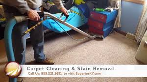 carpet cleaning and floor care services