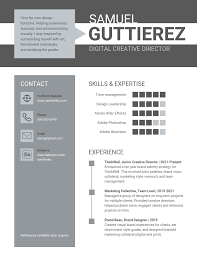 Resume samples following the latest trends for 2020 including writing tips. Infographic Resume Template Venngage