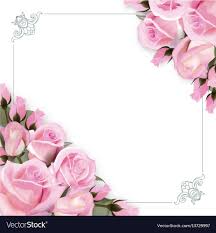 pink roses flowers royalty