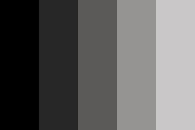 Monochrome Ash Color Palette Grey