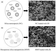 biocidal silica nanosystems