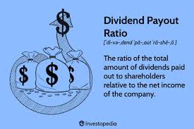 dividend payout ratio definition