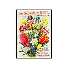 Garden Catalog Cover 5x 7 Print Vintage