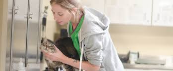We know that surgery can be very stressful for our clients, but rest assured that. Pspca Danville Spay Neuter Clinic Pennsylvania Society For The Prevention Of Cruelty To Animals