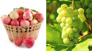 high cholesterol healthy fruits to