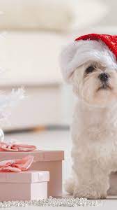 Merry Christmas Dog - 938x1668 ...