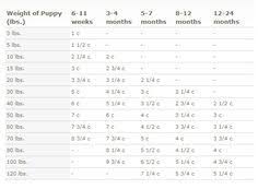 Image Result For Iam Image Result For Iams Puppy Food Chart