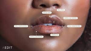 lip size overview causes treatment