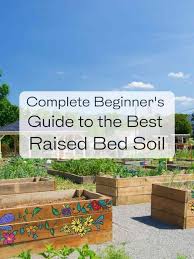 Guide To The Best Raised Bed Soil