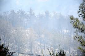 Yangına orman işletme ekipleri anında müdahale etti. Adana Kozan Daki Yangin Tam 36 Saattir Sondurulemedi Internet Haber