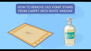 how to remove old puke stains from