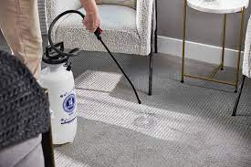 carpet cleaning north highlands ca