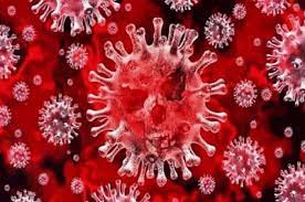 Virus Bacteria GIF - Virus Bacteria Cell - Discover & Share GIFs