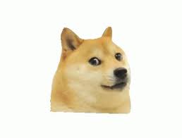 With tenor, maker of gif keyboard, add popular doge animated gifs to your conversations. Best Doge Gifs Gfycat