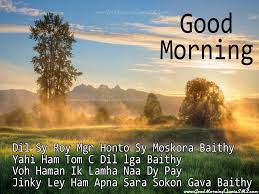 good morning hindi shayari for friends