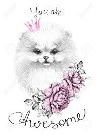 A bit different from the usual eddsworld post but i wanted to share it Hand Drawn Pomeranian With Pink Crown And Roses Pencil Drawing Stock Photo Picture And Royalty Free Image Image 134822463